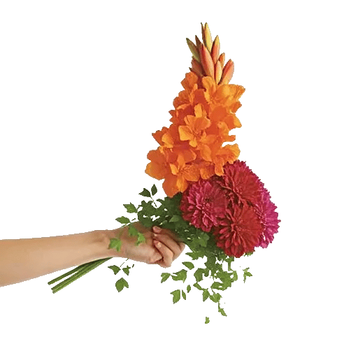 Radiant Bloom Cascade