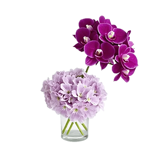 Orchid Bloom Cascade