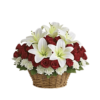 Blossom Harmony Display