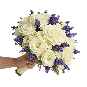 Ivory Garden Grace