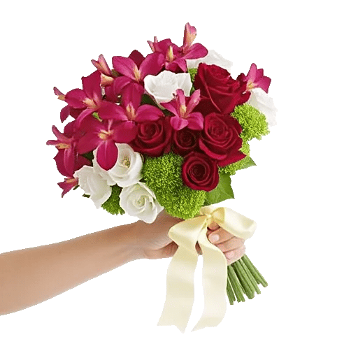 Blushing Rose Symphony