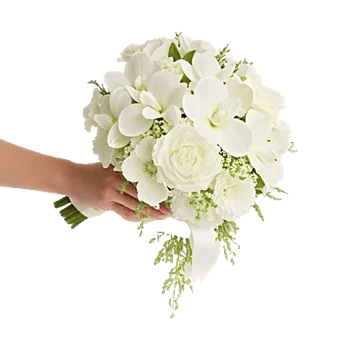 Orchid Bloom Cascade