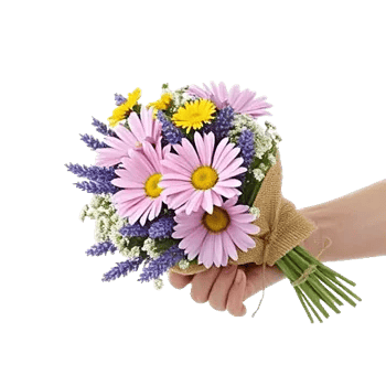 Daisy Meadow Spread