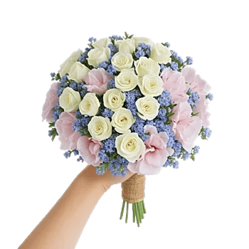 Serene Petal Harmony