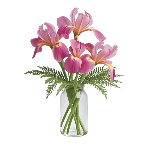 Ivory Blossom Radiance