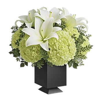 Ivory Blossom Radiance