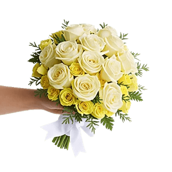 Ivory Garden Grace