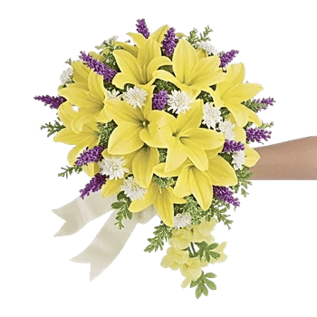 Delicate Petal Cascade