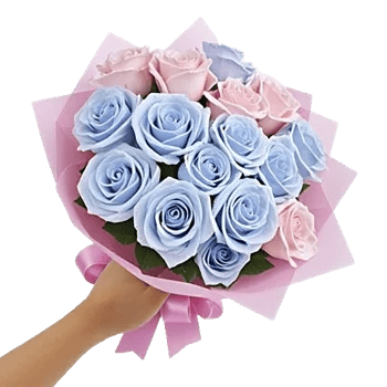 Pastel Pink Roses