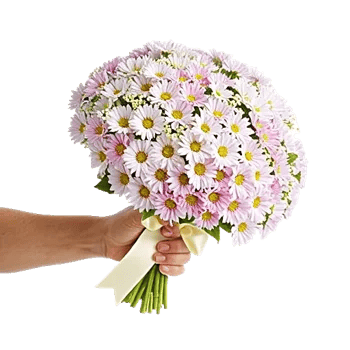 Ivory Blossom Radiance