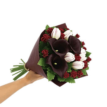 Elegant Calla Lilies