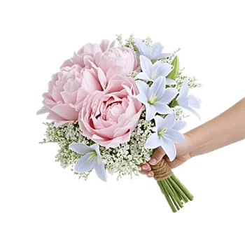 Peony Petal Harmony