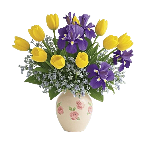 Velvet Tulip Display