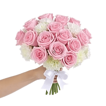 Pastel Pink Roses