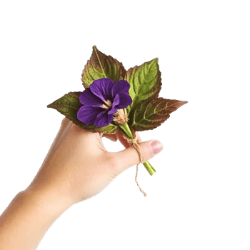 Ivory Blossom Radiance