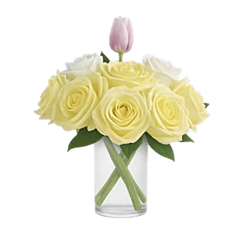 Ivory Blossom Radiance