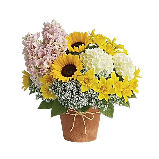 Blush Romantic Centerpiece