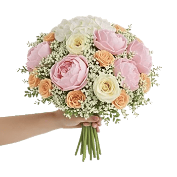 Peony Petal Harmony