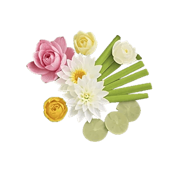 Ivory Blossom Radiance