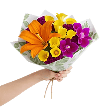 Elegant Calla Lilies