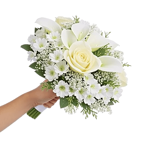 Ivory Garden Grace