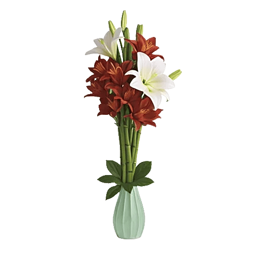 Graceful Lily Display