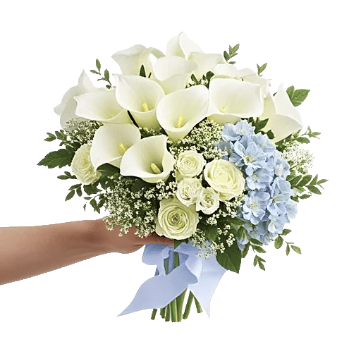 Elegant Calla Lilies