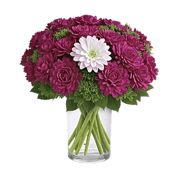 Petal Radiance Bliss