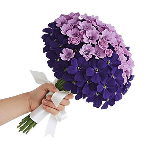 Petal Grace Harmony