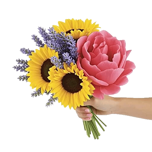 Twinkling Sunflower Dance