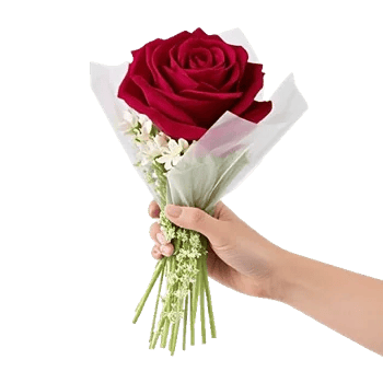 Crimson Rose Elegance