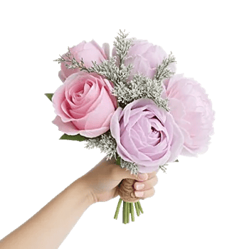 Pastel Pink Roses