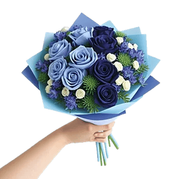 Elegant Blue Roses