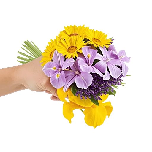 Blossom Harmony Display