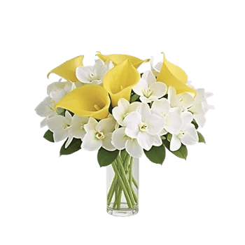 Elegant Calla Lilies