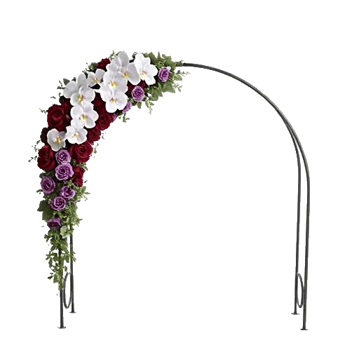 Modern White Orchids