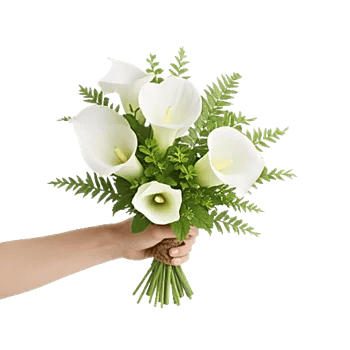 Elegant Calla Lilies