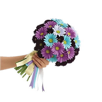 Radiant Bloom Cascade