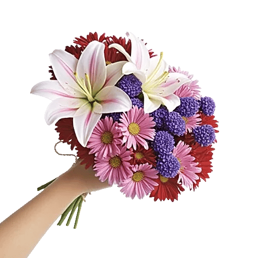 Blossom Harmony Display