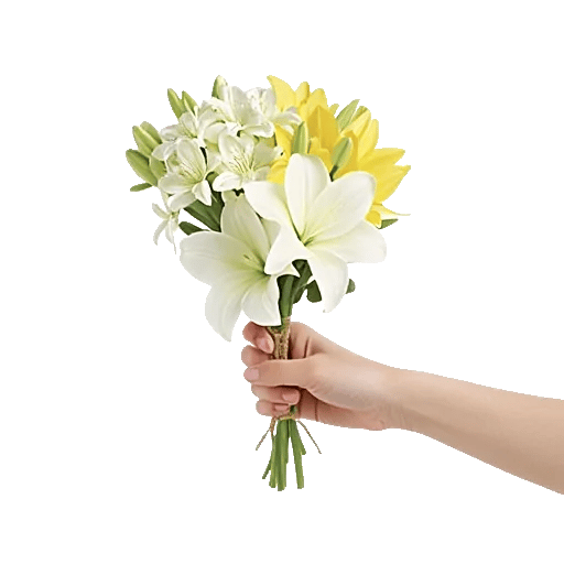 Plum Blossom Radiance