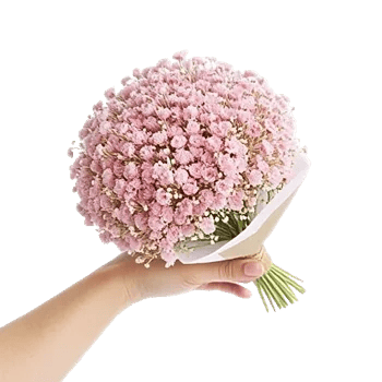 Blossom Radiant Whisper