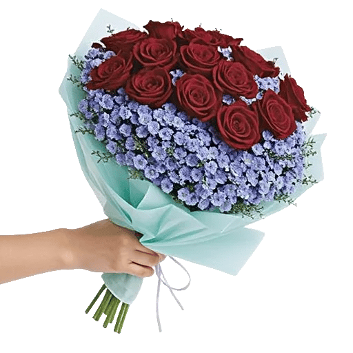 Crimson Rose Elegance