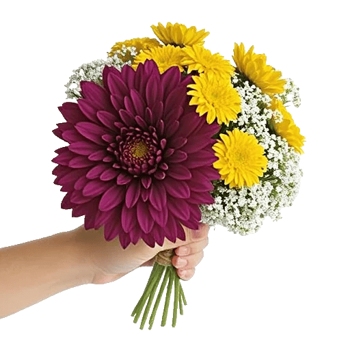 Radiant Bloom Cascade