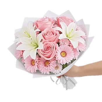 Blushing Rose Symphony