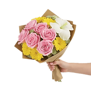 Blushing Rose Symphony