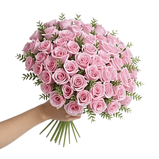 Pastel Pink Roses