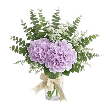 Ivory Blossom Radiance