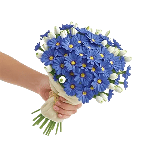 Blossom Petal Serenity