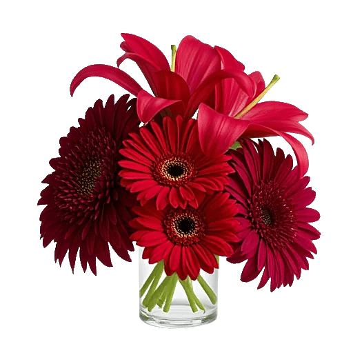 Crimson Blossom Harmony