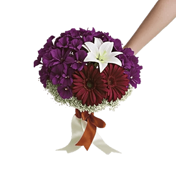 Petal Grace Harmony
